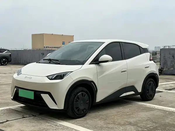BYD Seagull 2024