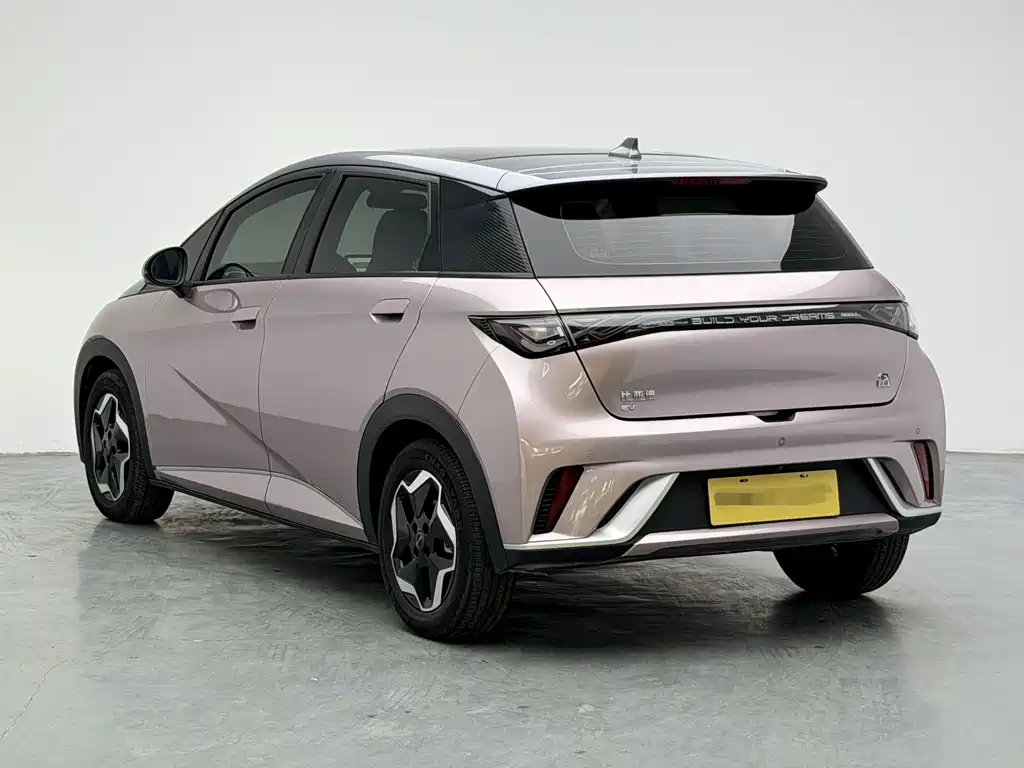 BYD Dolphin 2022