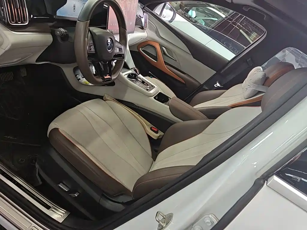 BYD Song Pro New Energy 2023 — фото 15