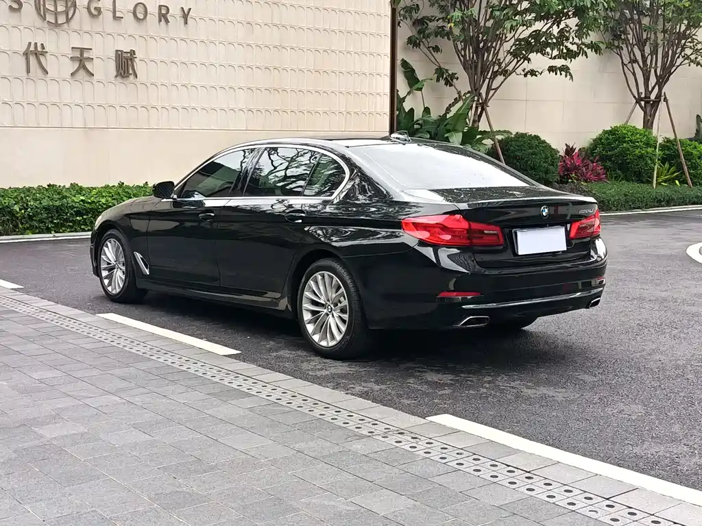 BMW 5 Series 2019