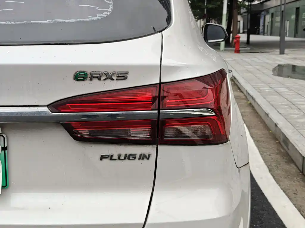 Roewe RX5 New Energy 2018 — фото 10