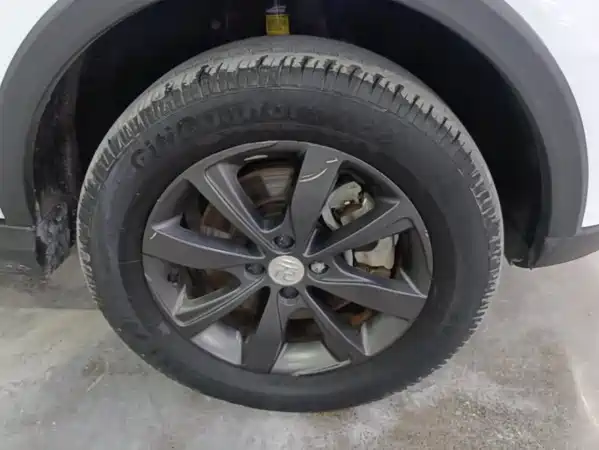 BYD Yuan New Energy 2019