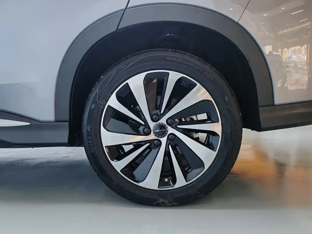BYD PLUS New Energy 2024 — фото 10