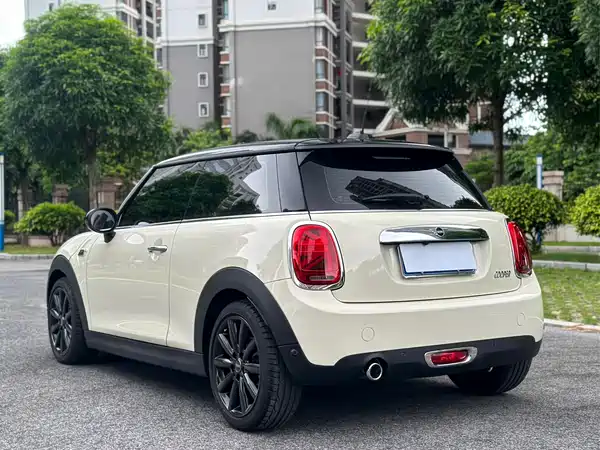 MINI 2019