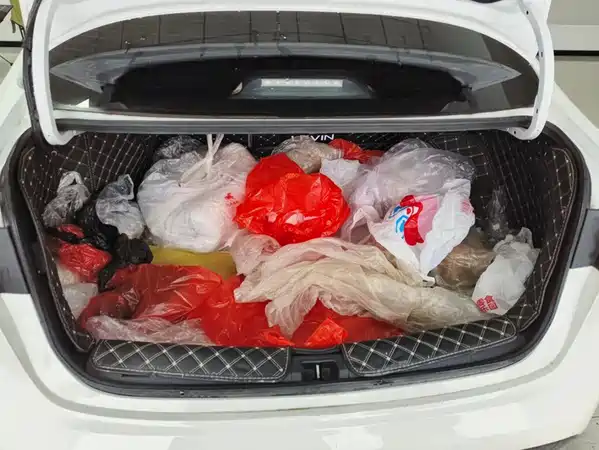 Toyota Levin 2023