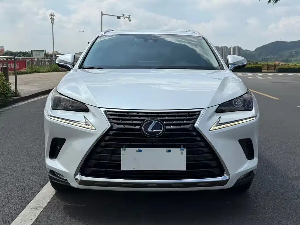 Lexus NX 2020 — фото 2