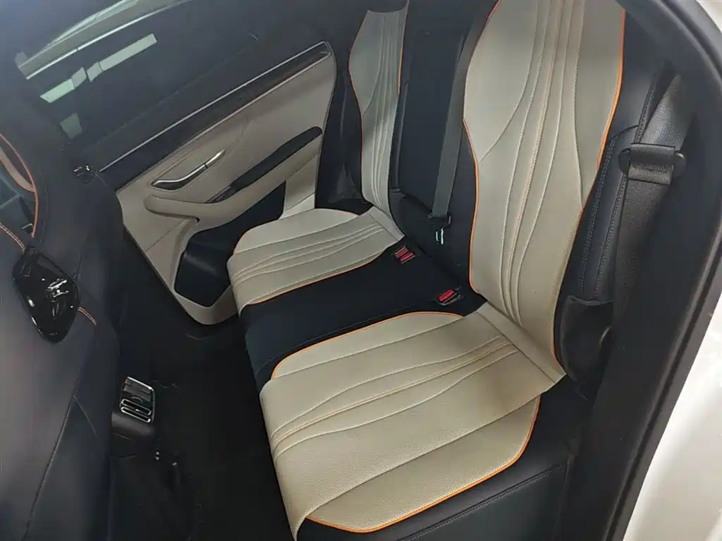 BYD PLUS New Energy 2023 — фото 17