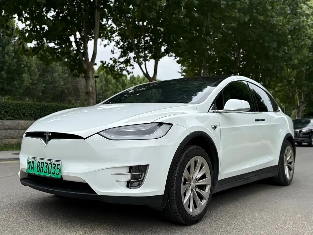 Tesla Model X 2017 — фото 1