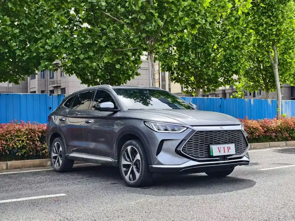 BYD PLUS New Energy 2024 — фото 3