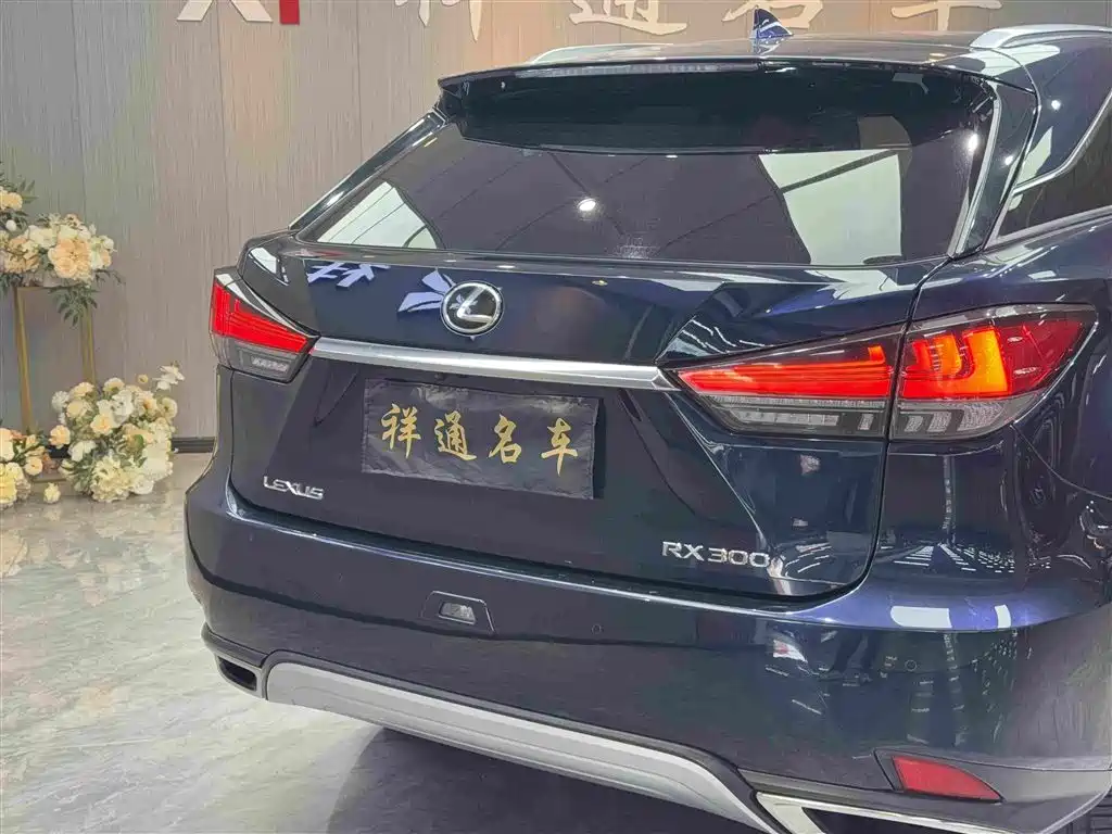 Lexus RX 2020 — фото 20