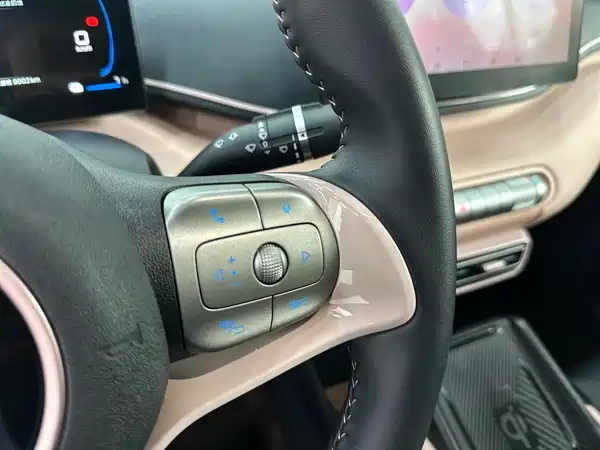BYD Seagull 2024