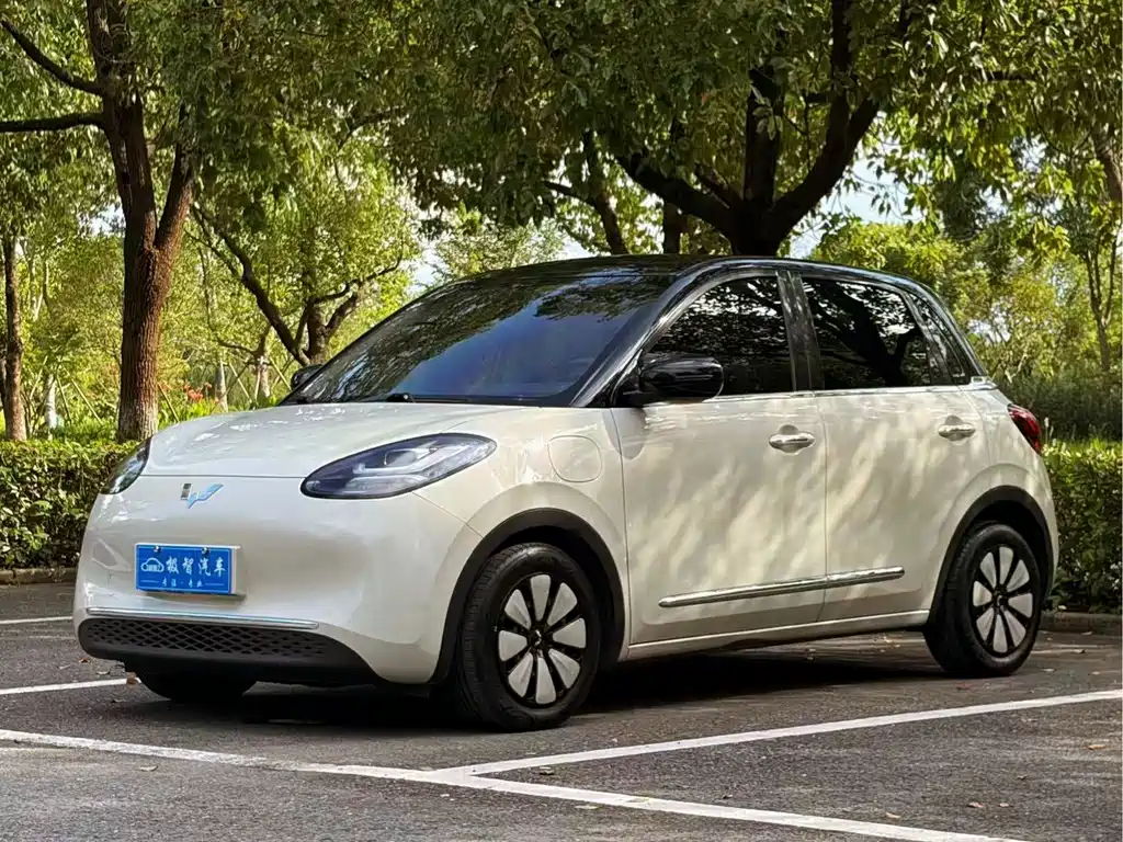 Wuling Bingo 2024
