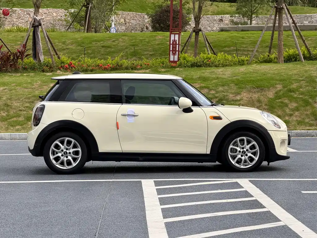 MINI MINI 2014