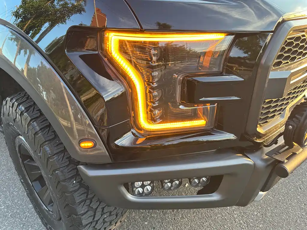 Ford F-150 Raptor 2017 — фото 16