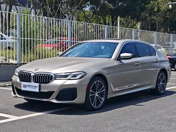 BMW 5 Series 2021
