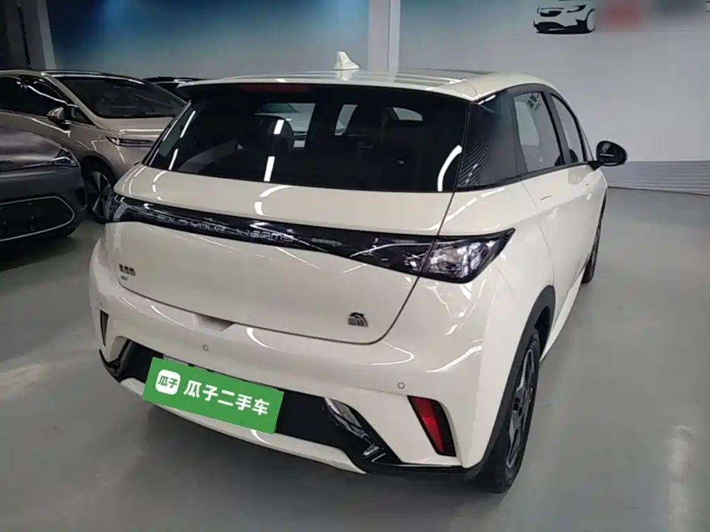 BYD Dolphin 2022