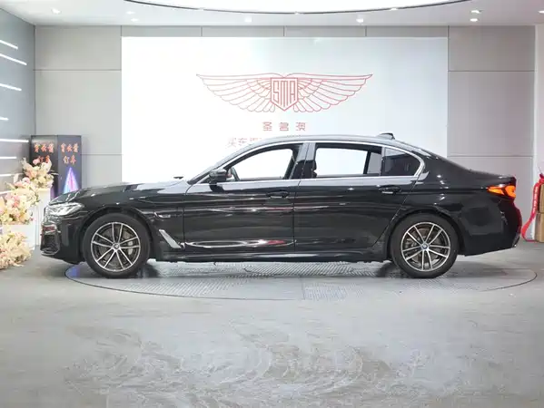BMW 5 Series New Energy 2022
