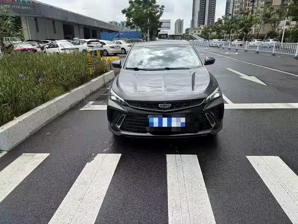 Geely Binrui 2022