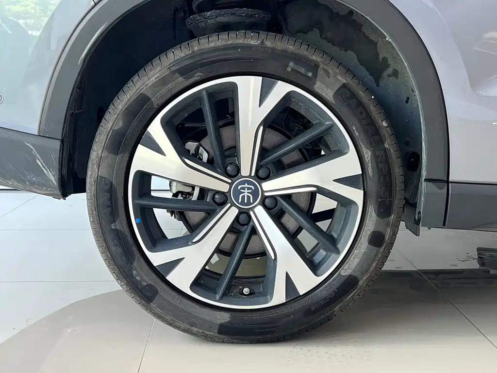 BYD Pro New Energy 2025 — фото 10