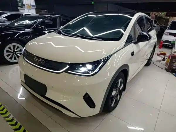 BYD Dolphin 2025