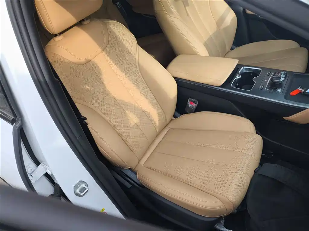 BYD L DM-i 2025 — фото 25