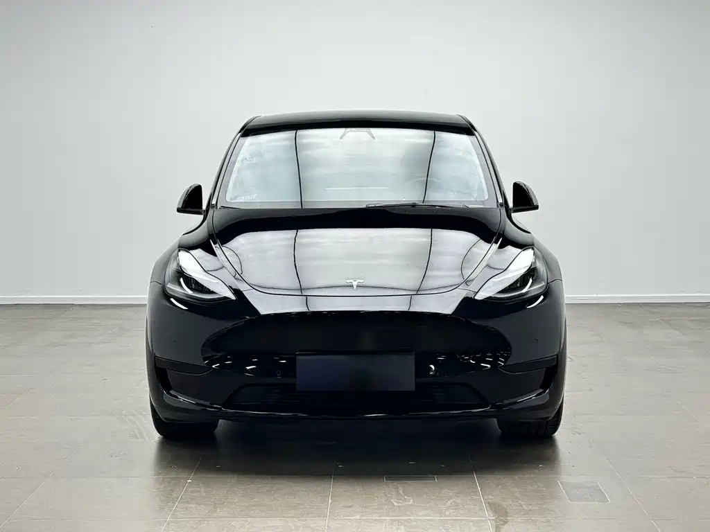 Tesla Model Y 2022 — фото 2
