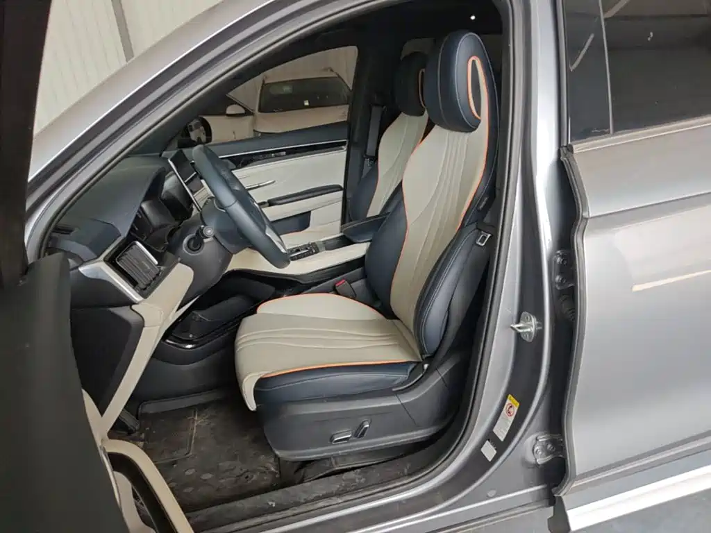 BYD Song PLUS New Energy 2021 — фото 15