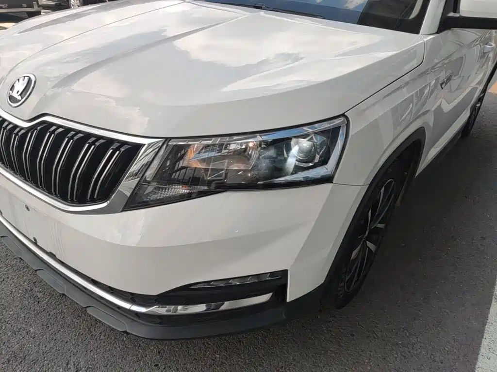 Skoda Kamiq 2021 — фото 24
