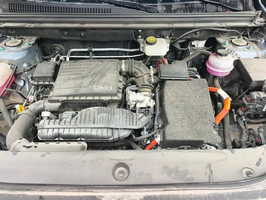 BYD Pro New Energy 2024 — фото 10