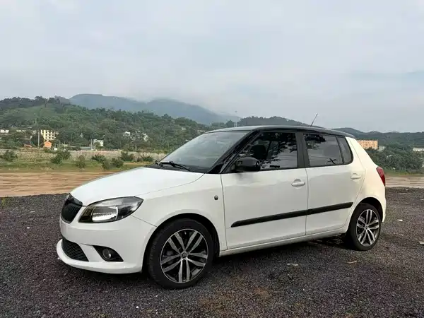 Skoda TECHART 2013