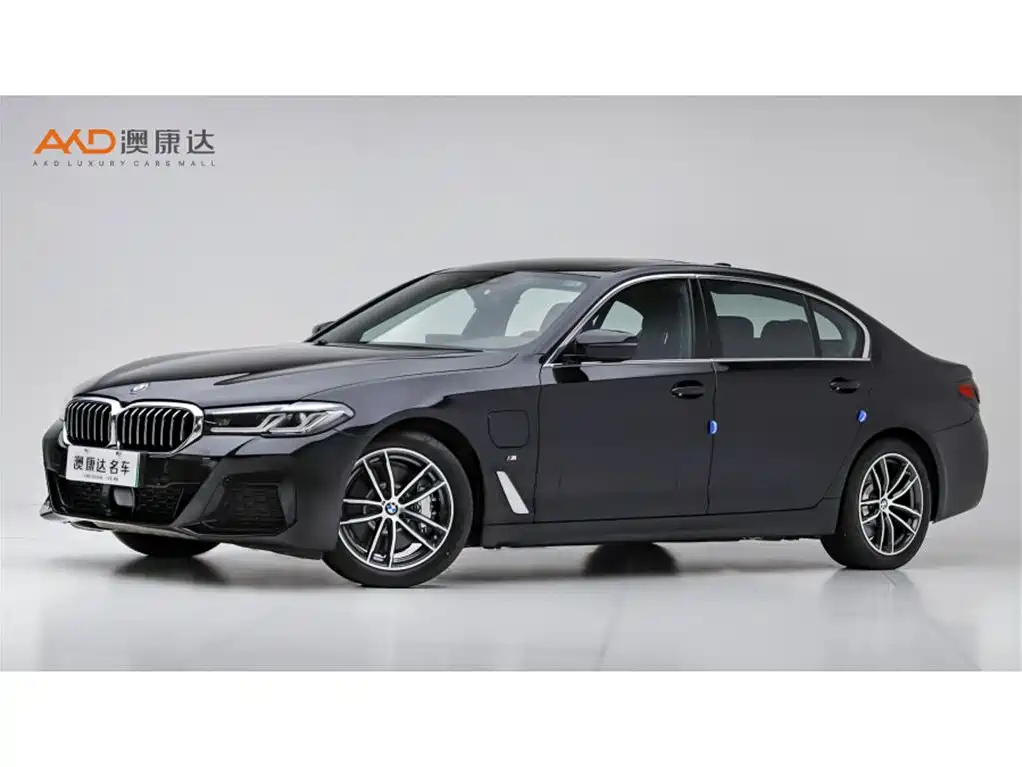 BMW 5 Series New Energy 2021 — фото 1