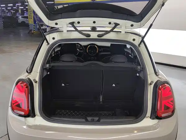 MINI 2019