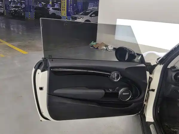 MINI 2019