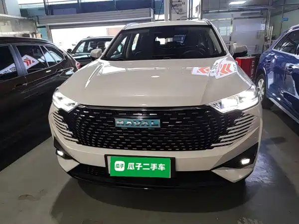 Haval H6 New Energy 2022