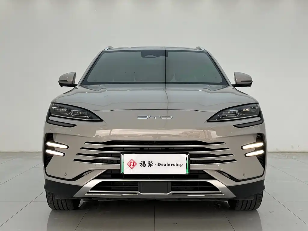 BYD PLUS New Energy 2024 — фото 1
