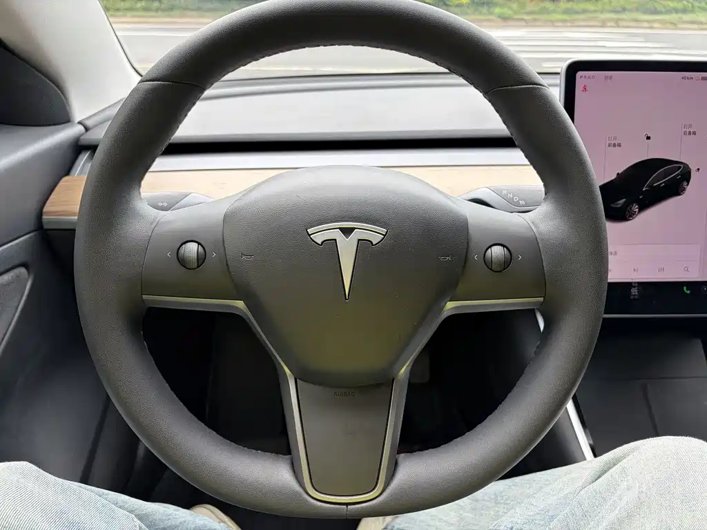 Tesla Model 3 2020 — фото 14
