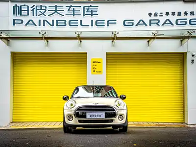 MINI MINI 2018
