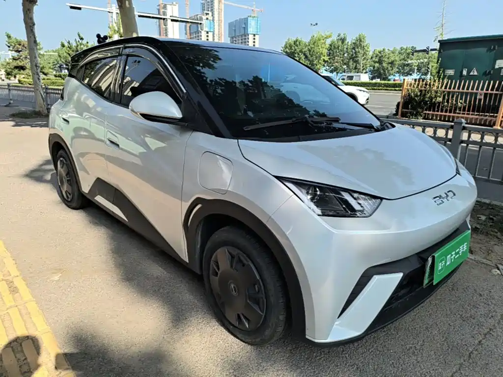 BYD Seagull 2024
