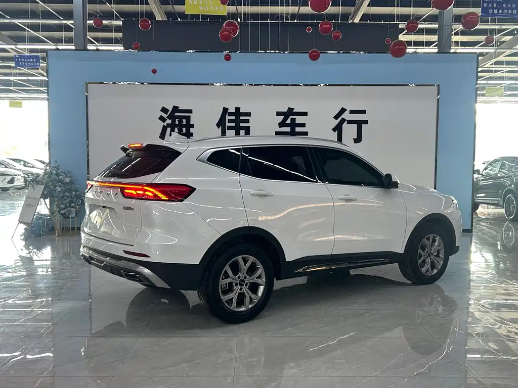 Haval H6 2023 — фото 14