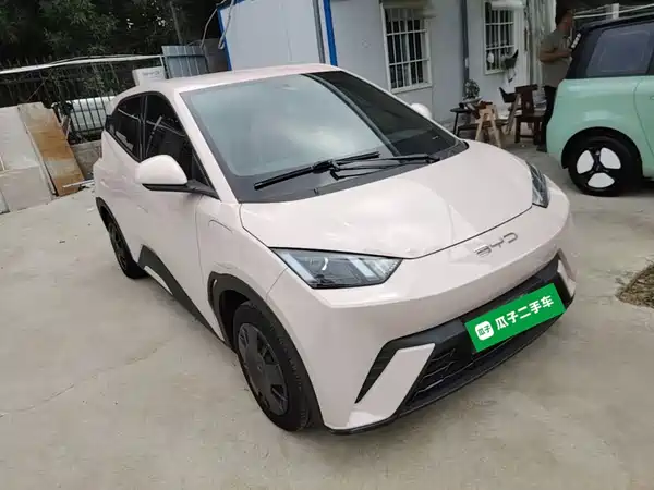BYD Seagull 2024