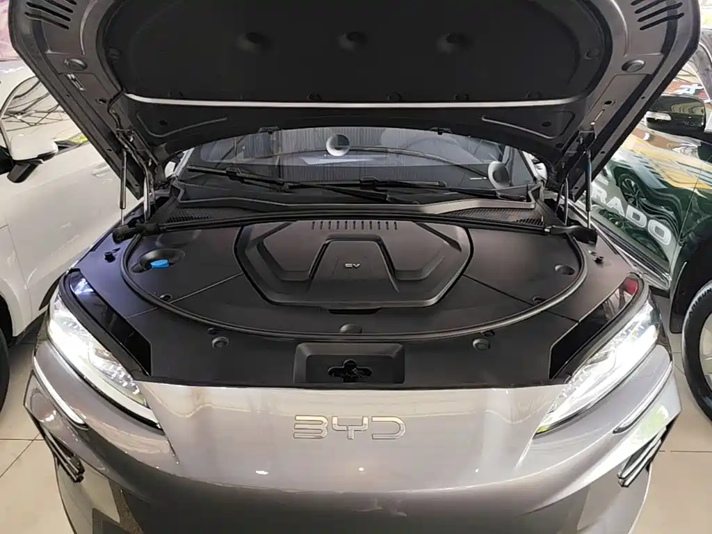 BYD Song PLUS New Energy 2025 — фото 20