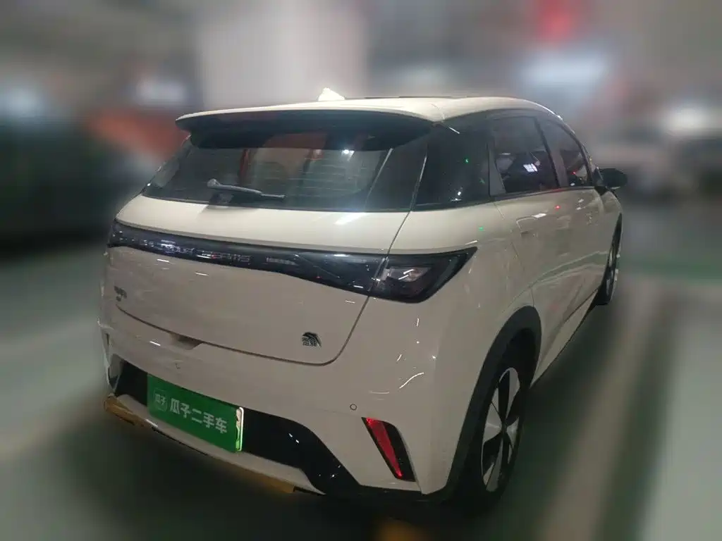 BYD Dolphin 2024
