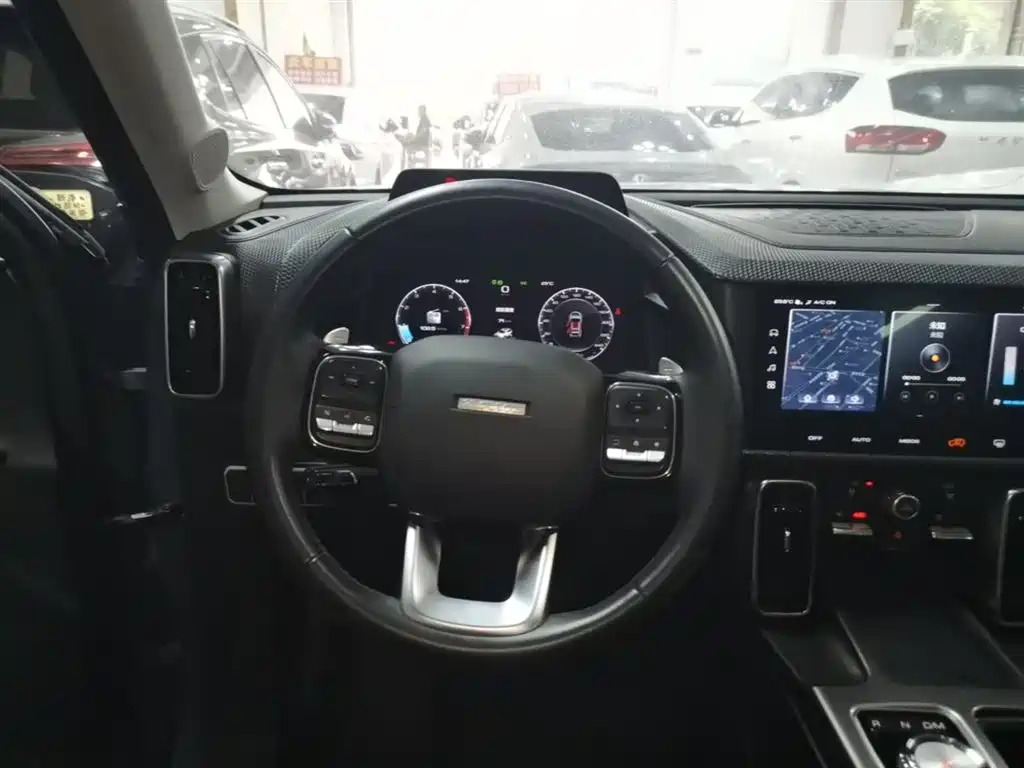 Haval Big Dog 2021 — фото 11