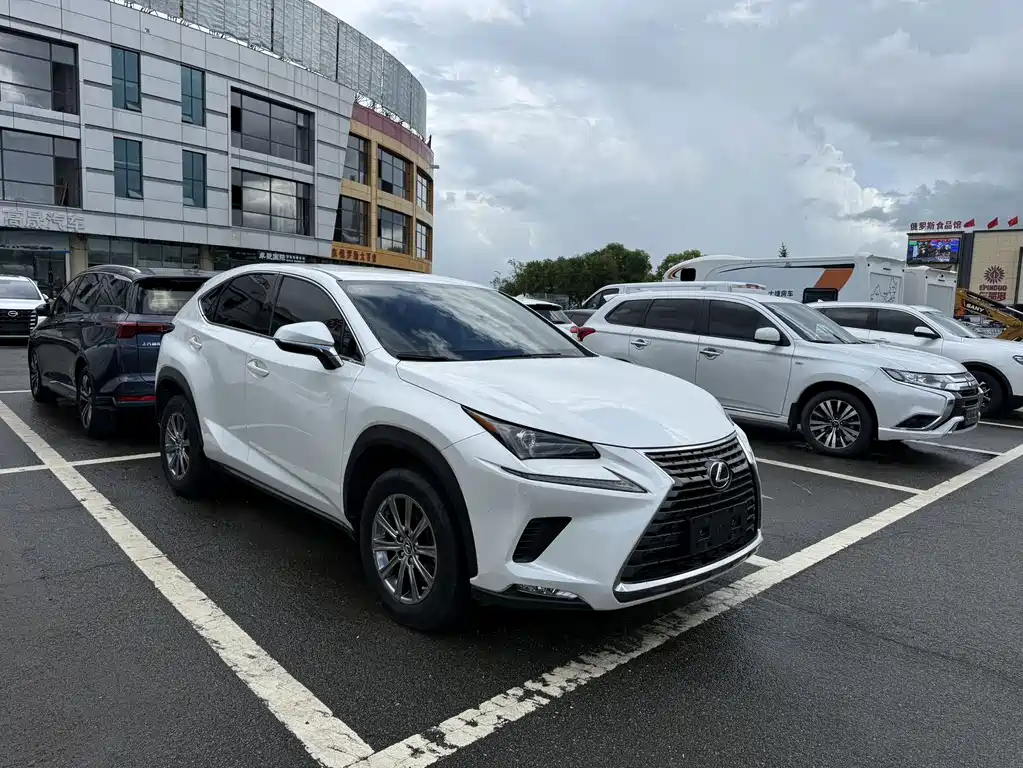 Lexus NX 2021 — фото 1