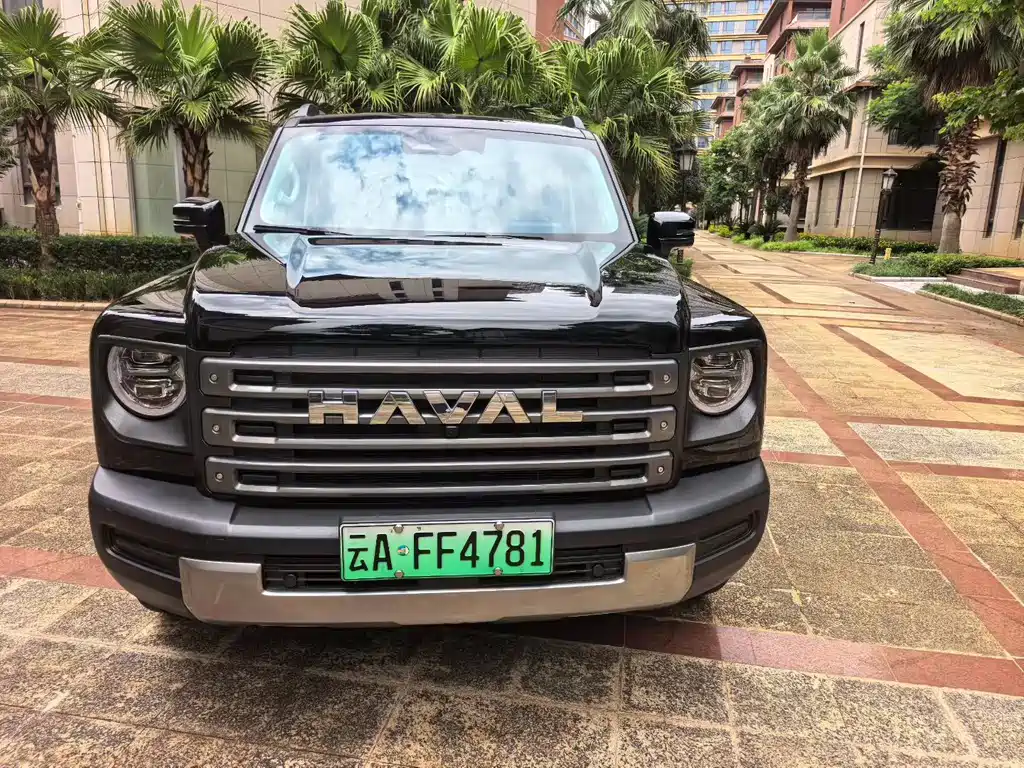 Haval Raptors New Energy 2024 — фото 2