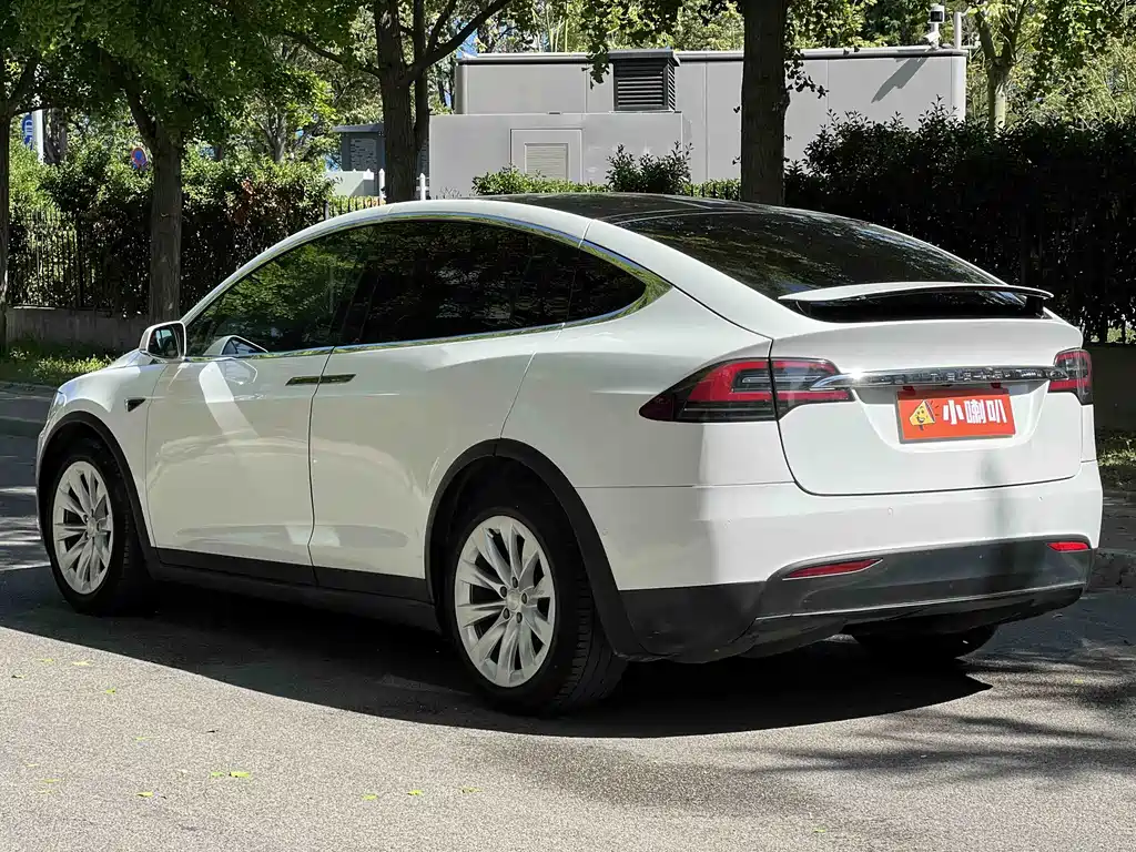 Tesla Model X 2017 — фото 6