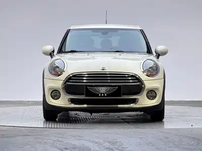 MINI MINI 2015