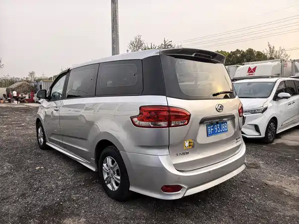 Maxus G10 2019