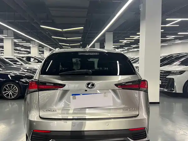 Lexus NX 2020