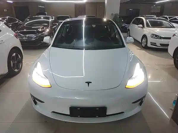 Tesla Model 3 2019